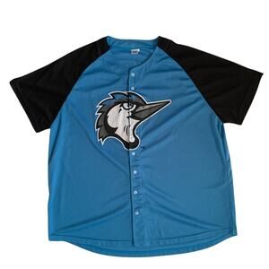 Success Brand Adult Men's Size XL MiLB Fayetteville Woodpeckers #22 Mesh Jersey